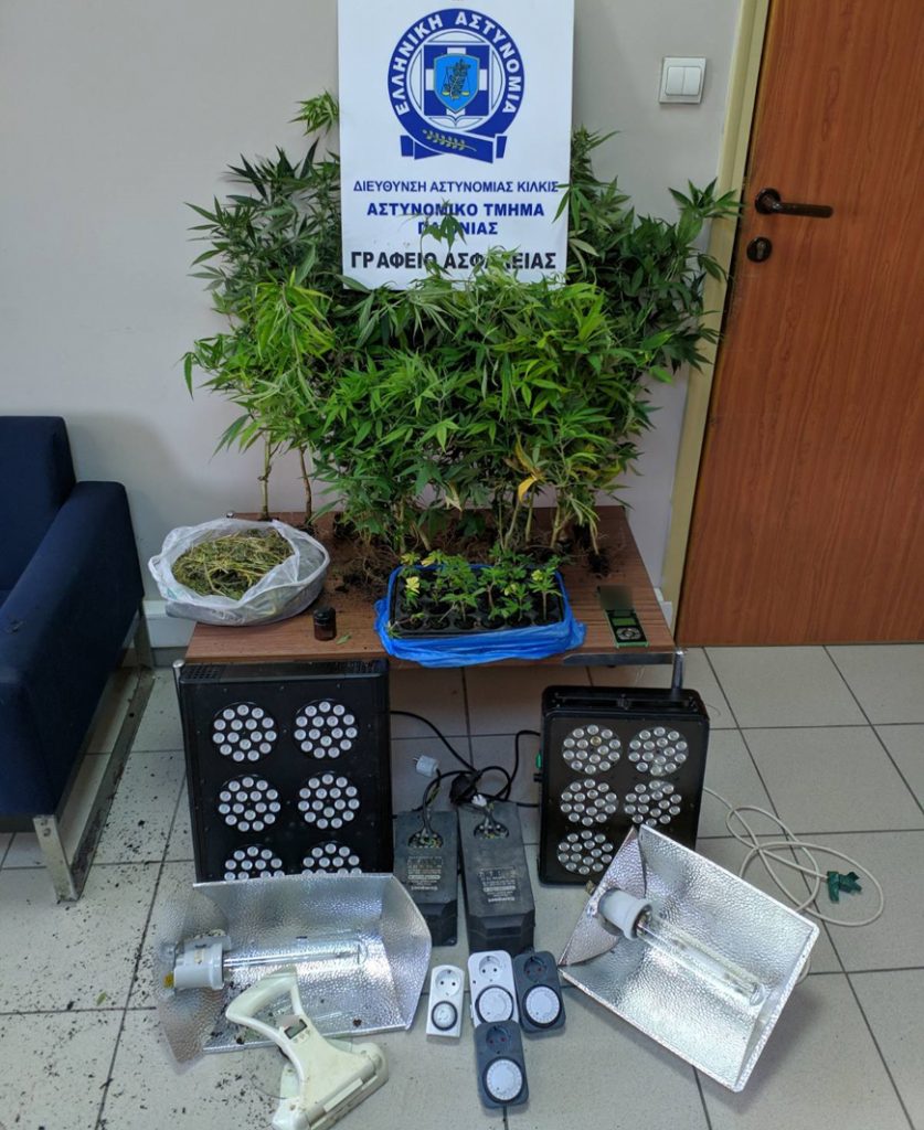 Από αστυνομικούς του ΑΤ Παιονίας συνελήφθη ημεδαπός άνδρας για καλλιέργεια κάνναβης