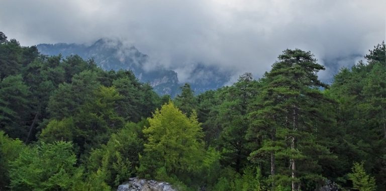 Πάϊκο #Ανέστης Αθανασιάδης#