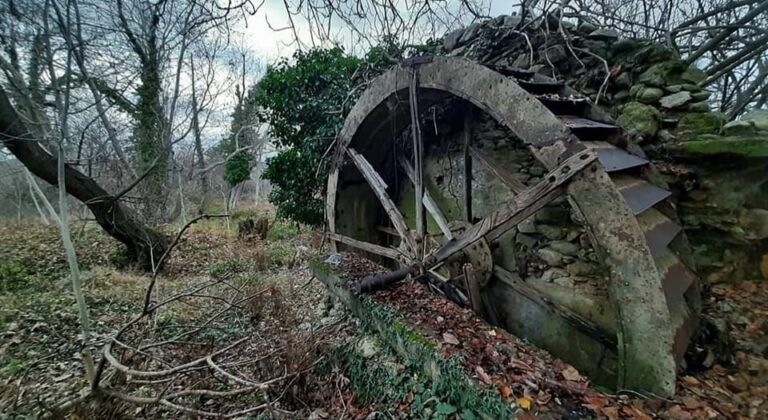 Δάσος της Γουμένισσας #Γιώργος Πέτκος#
