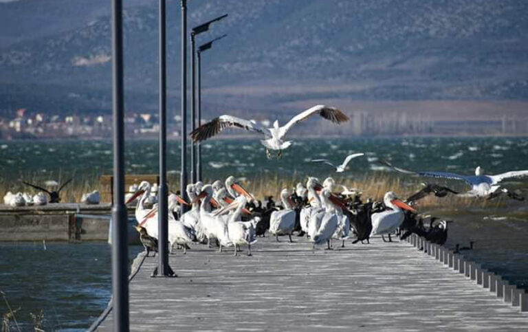 Λίμνη Δοϊράνη #Χριστίνα Σίγγα#