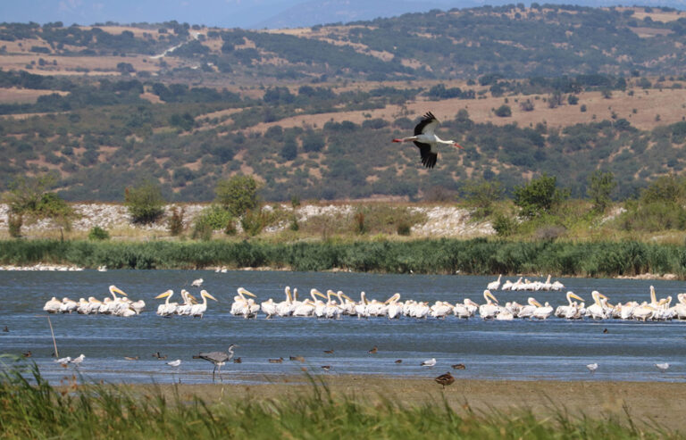 Λίμνη Αρτζάν Αματόβου #Ifigeneia Mountain#