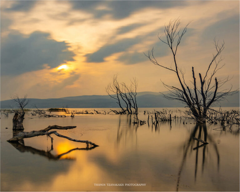 Δοϊράνη #Θανάσης Τζανακάκης#