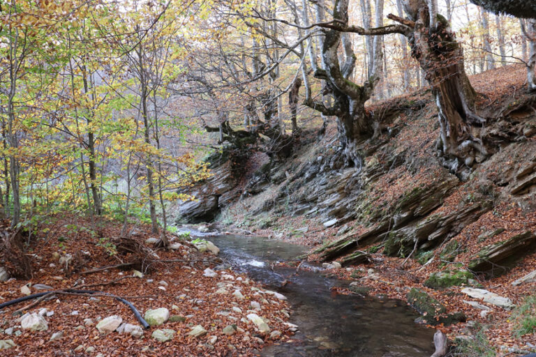 Πάϊκο #Ifigeneia mountain#