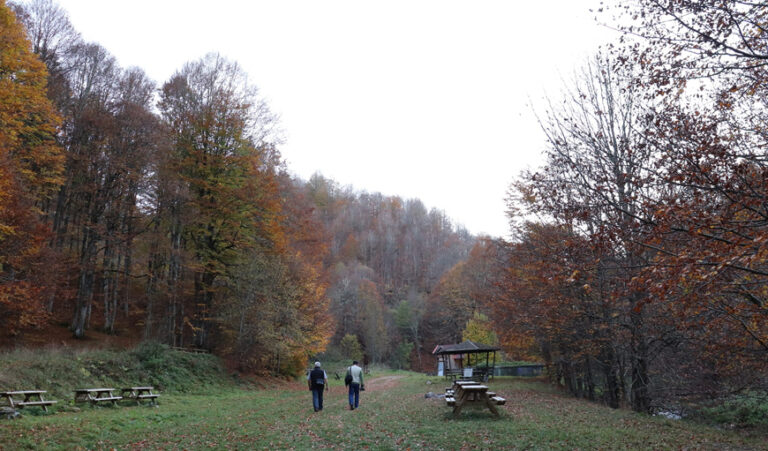 Πάϊκο #Ifigeneia-Mountain#
