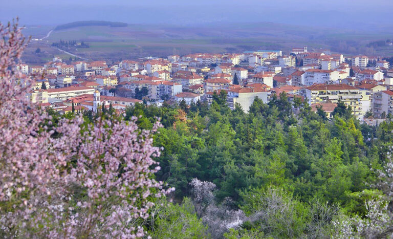 Λευκό και κόκκινο μωσαϊκό στον λόφο Αγίου Γεωργίου Κιλκίς